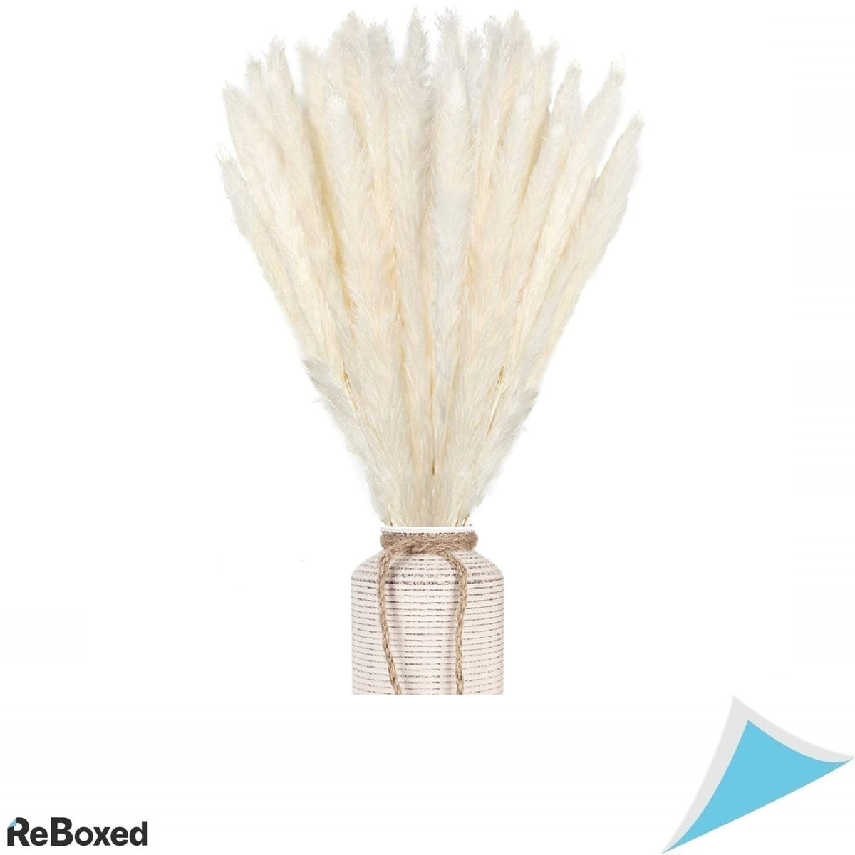 Aior Pampas Set 30 Bucati Plante Uscate Decorative 60cm