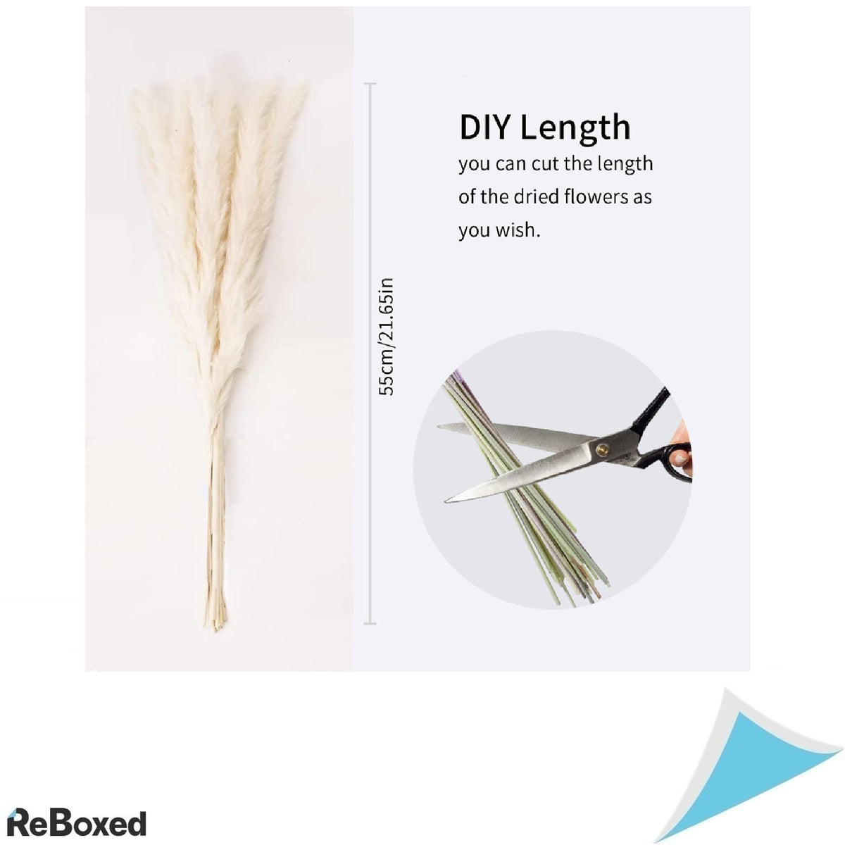 Aior Pampas Set 30 Bucati Plante Uscate Decorative 60cm