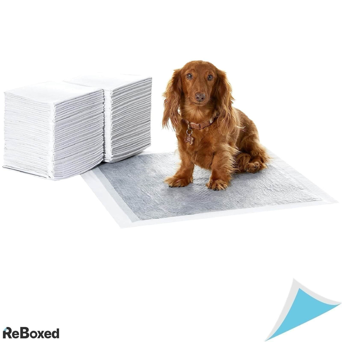 AmazonBasics 120 Pad-uri Absorbante pentru Caini 56x56 cm
