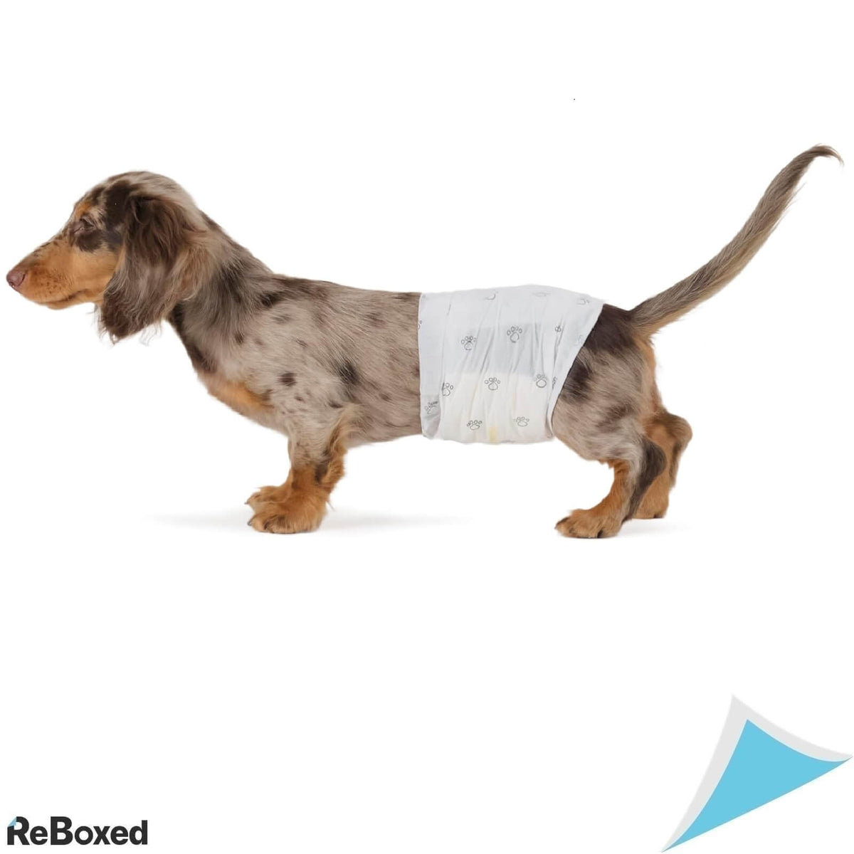 AmazonBasics 50 Scutece pentru Caini (S)