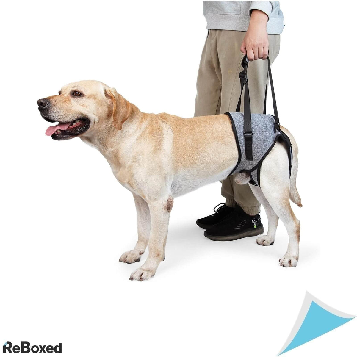 Dotoner Ham de Sustinere pentru Caini L