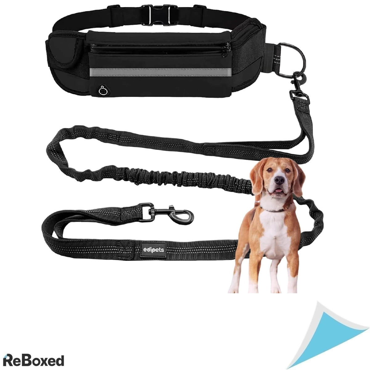 Edipets Lesa pentru Alergare cu Centura de Talie 160-220 cm