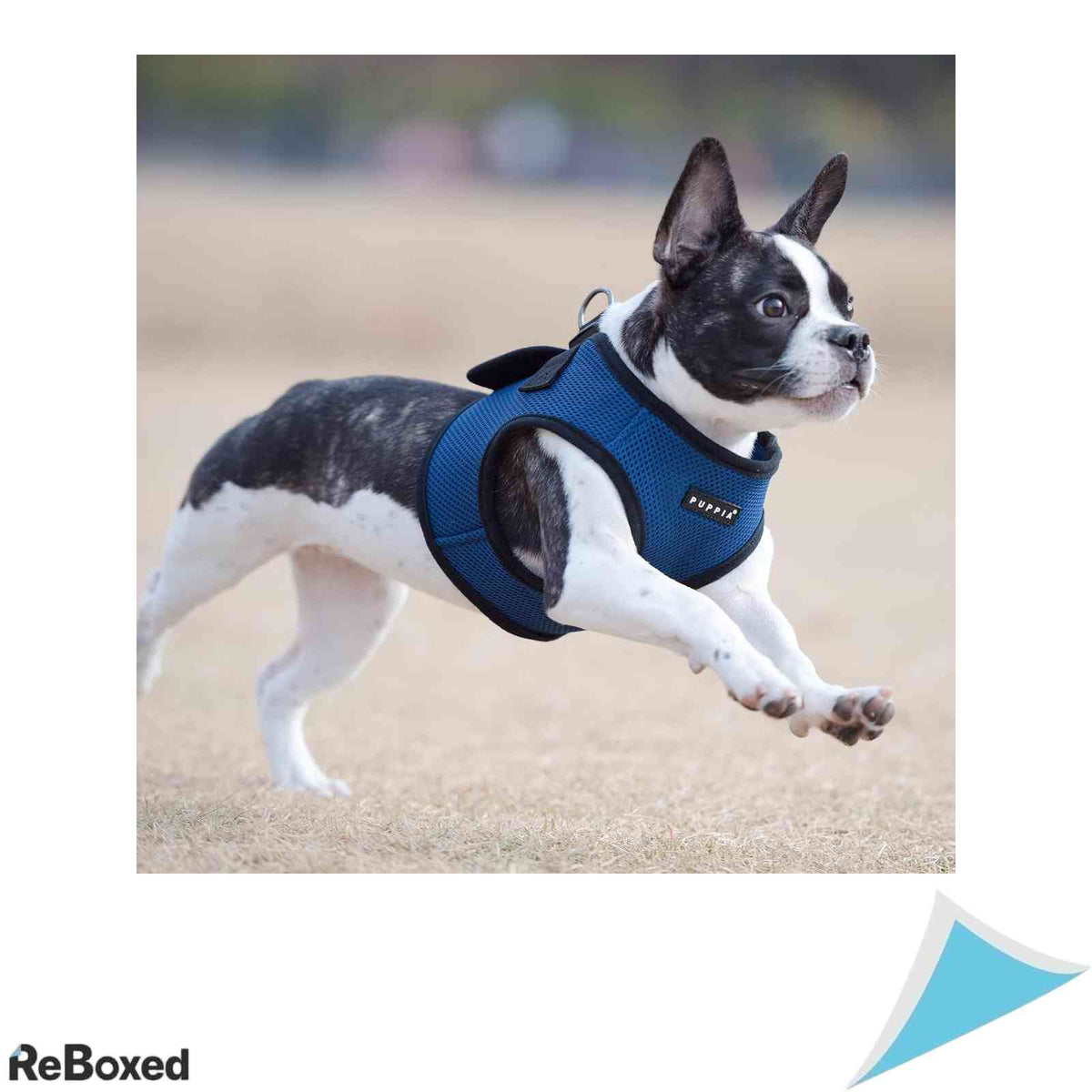 Ham vesta pentru caini  Puppia Soft Vest, marimea L, Airmesh, Albastru Regal