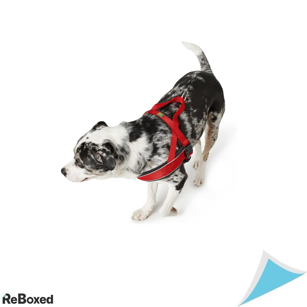 Ham Hunter Racing stil norvegian pentru caini – Marimea XXL, maro, cu benzi reflectorizante si captuseala moale