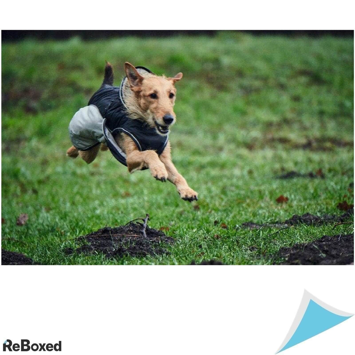 Hunter Uppsala Extreme Haina pentru Caini 65 cm