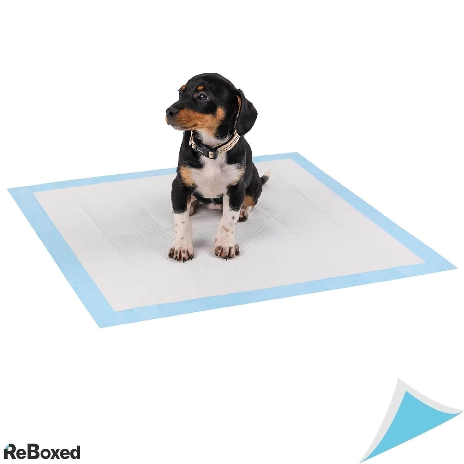 Lionto 100 Pad-uri Absorbante pentru Caini 60x60