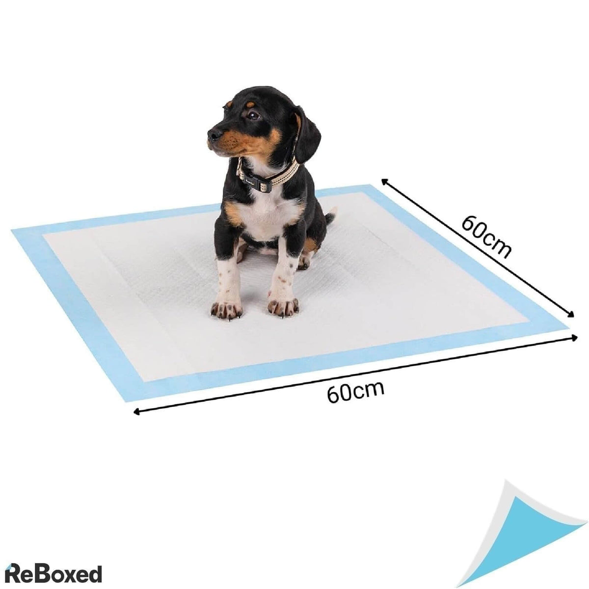 Lionto 100 Pad-uri Absorbante pentru Caini 60x60