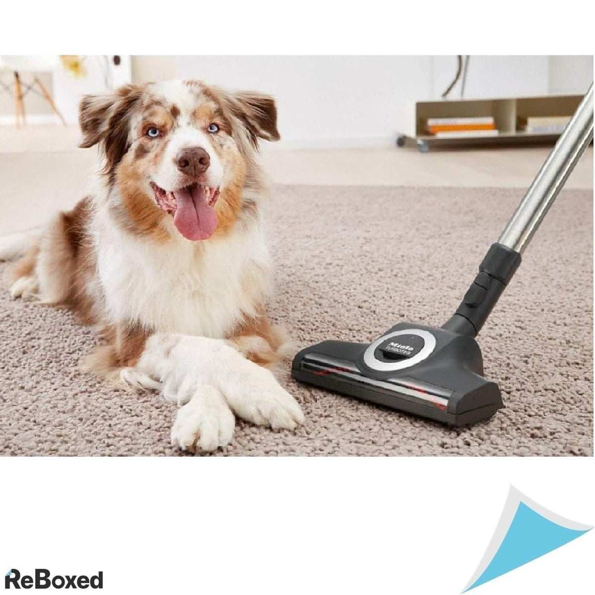 Miele TurboTeQ STB305-3 Perie Aspirator 28x28cm Covor par Mediu