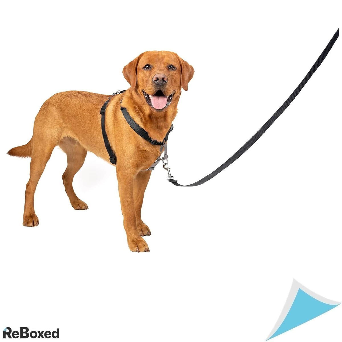 PetSafe 3 in 1 Ham si Legaturi pentru Masina L