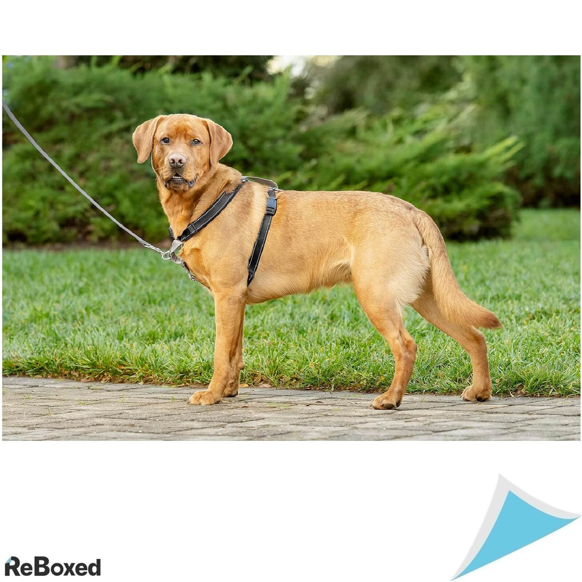 PetSafe 3 in 1 Ham si Legaturi pentru Masina L