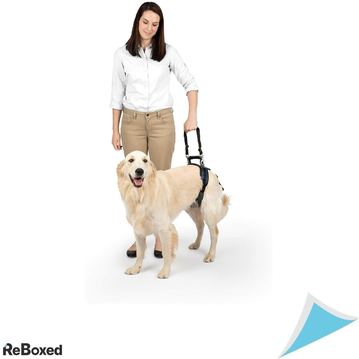PetSafe CareLift Ham pentru Posterior L