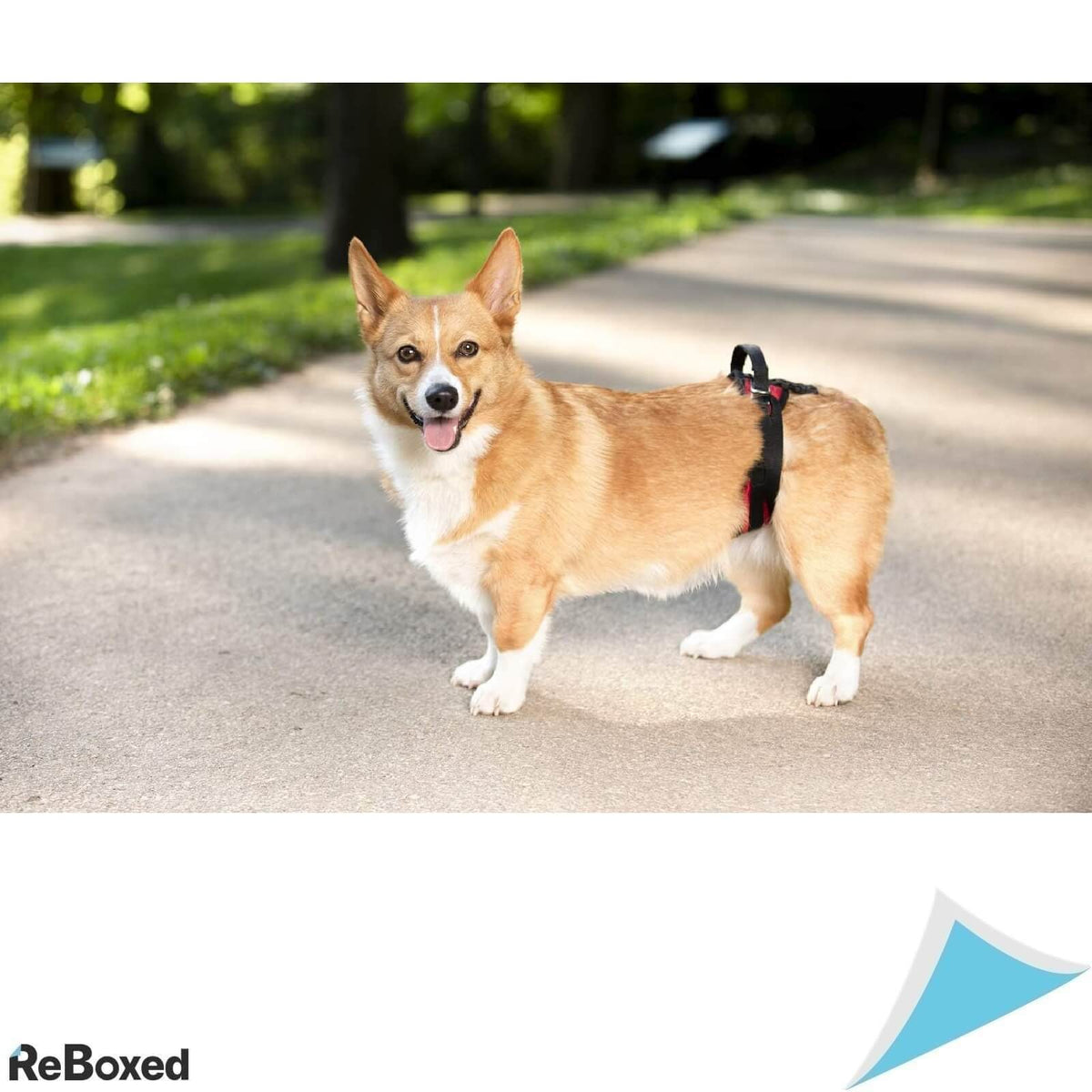 PetSafe Ham de Sustinere Spate pentru Caini