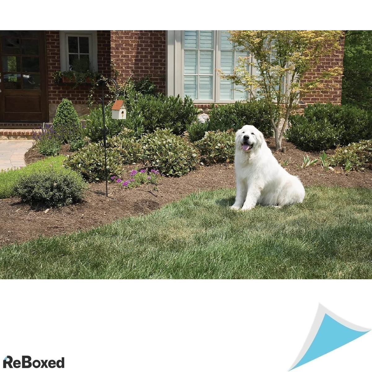 PetSafe Outdoor Bark Control Dispozitiv Antilatrat