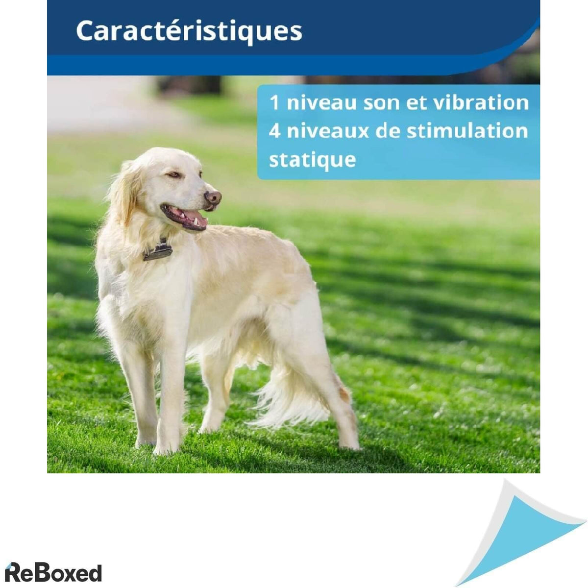 PetSafe Sistem de Gard Anti-Fuga cu Guler pentru Caini