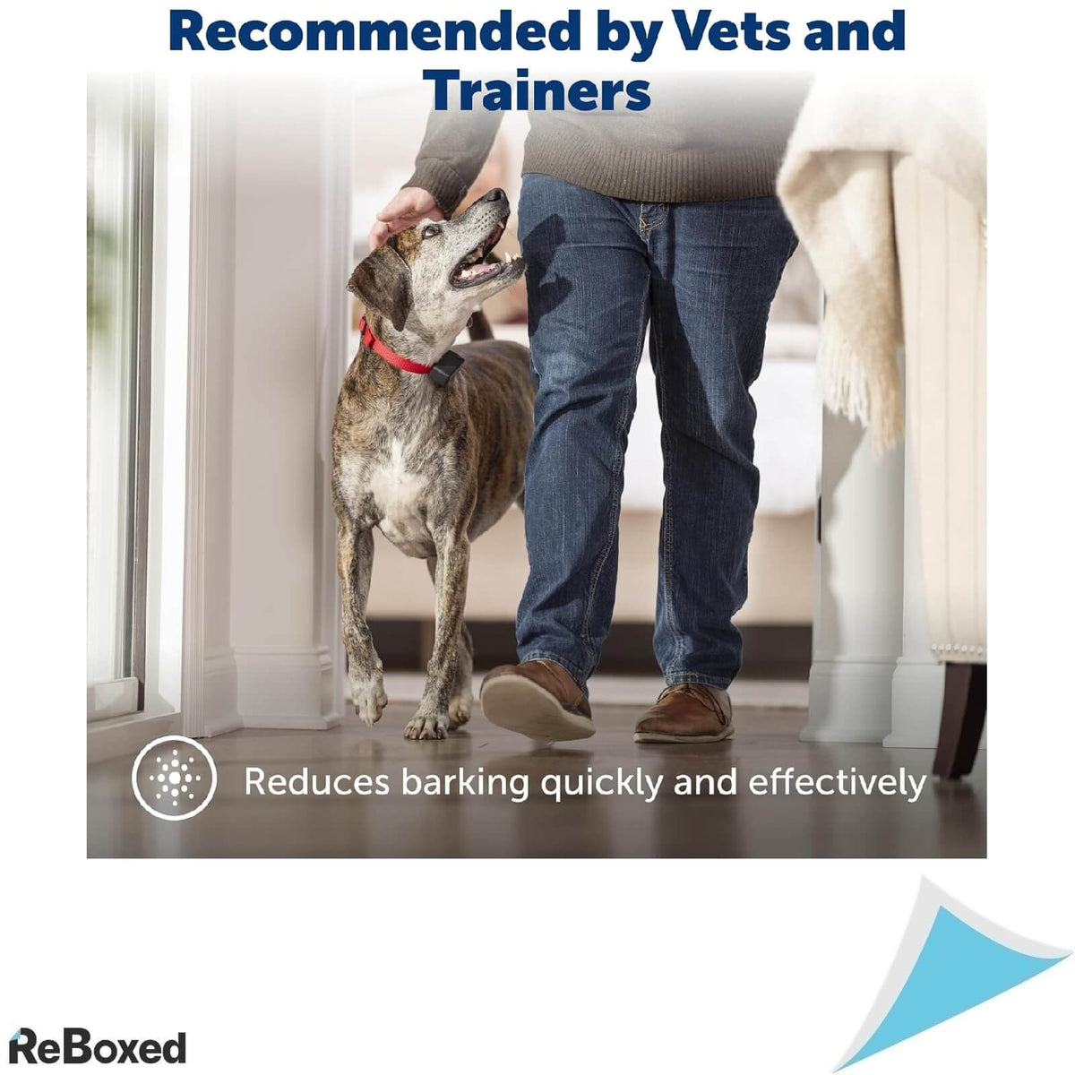 PetSafe Zgarda Antilatrat pentru Caini