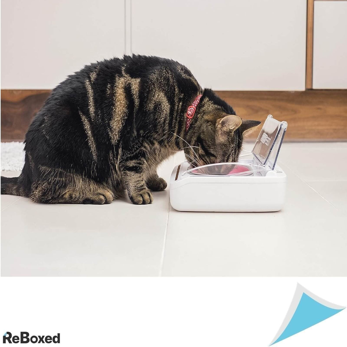 Surefeed Bol Etans pentru Hrana de Pisici sau Caini