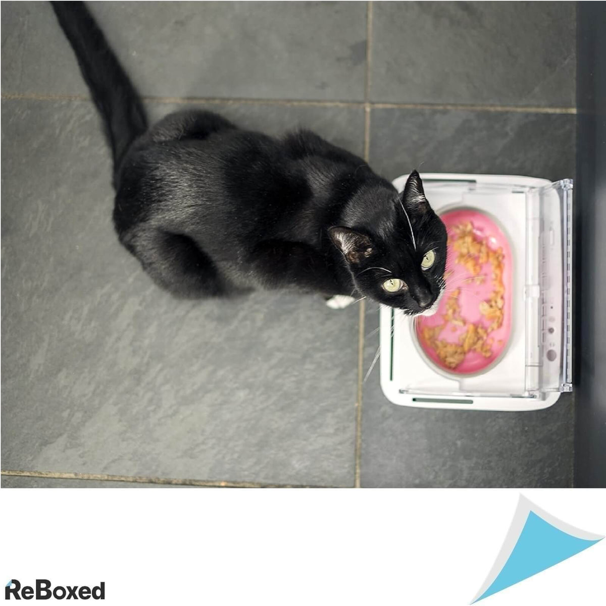 Surefeed Bol Etans pentru Hrana de Pisici sau Caini