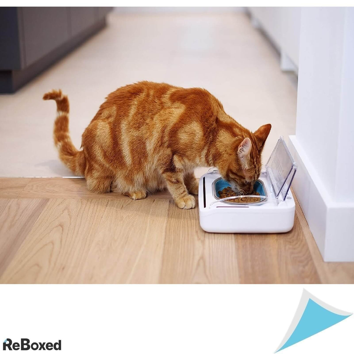 Surefeed Bol Etans pentru Hrana de Pisici sau Caini