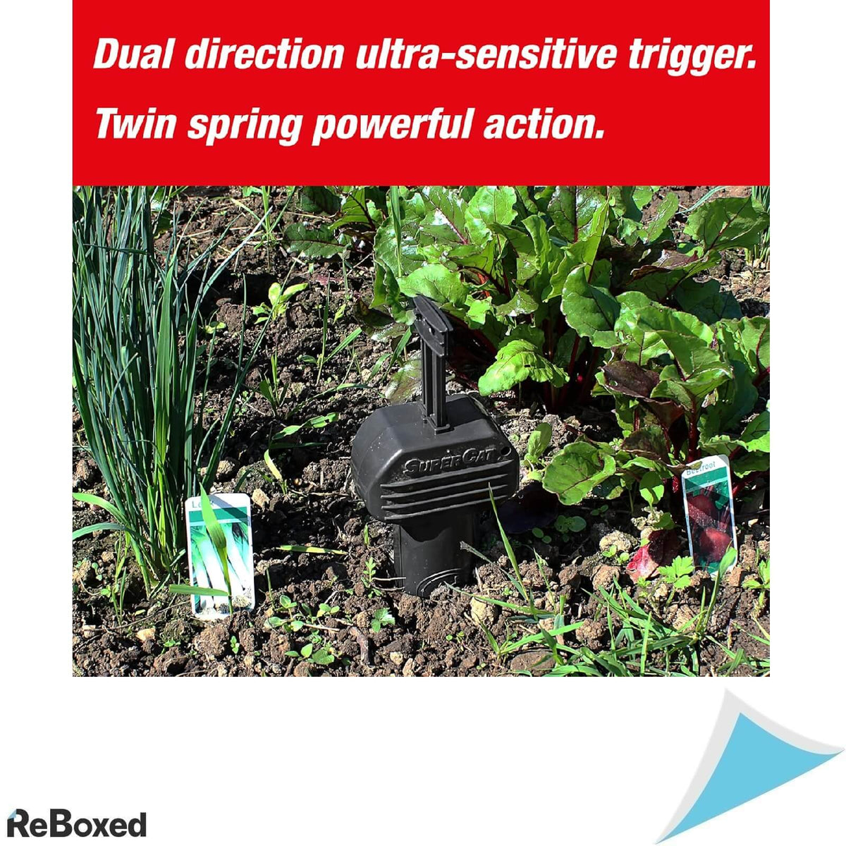 Swissinno Supercat Pro Capcana pentru Rozatoare