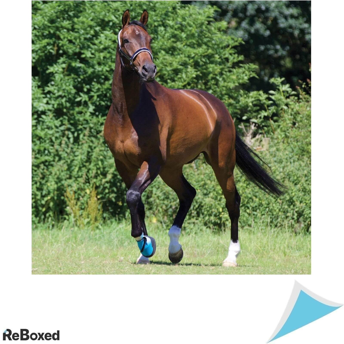 Woof Medical Hoof Boot Pantof Medicinal Size 9