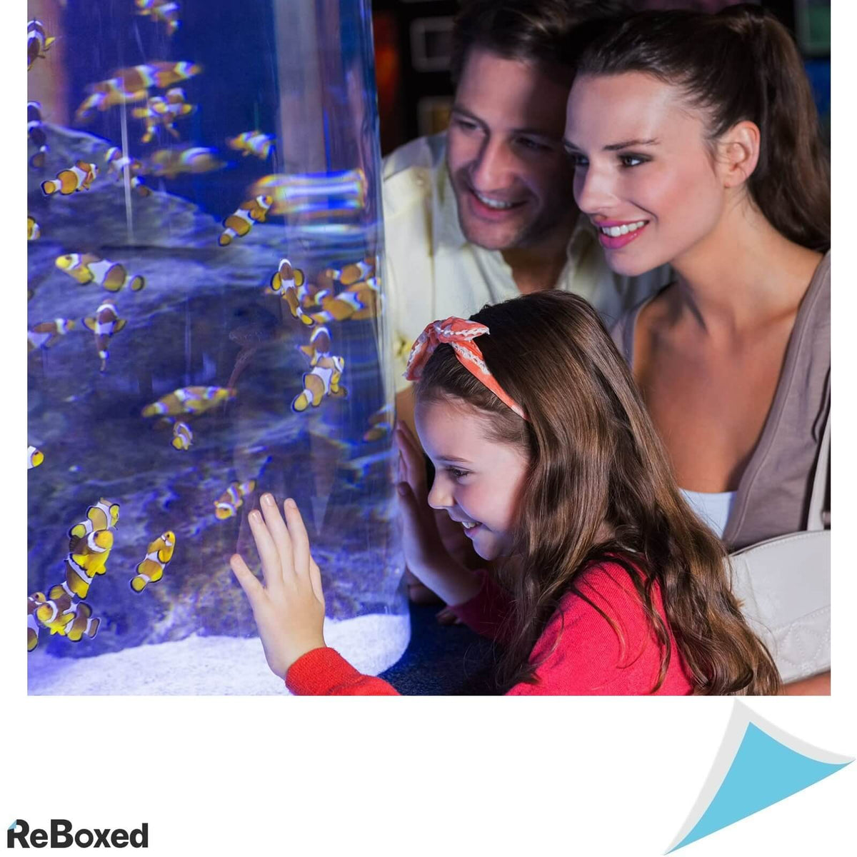 Lumina LED 20W Acvarii 90-120cm Suporturi Extensibile Alba-Albastra