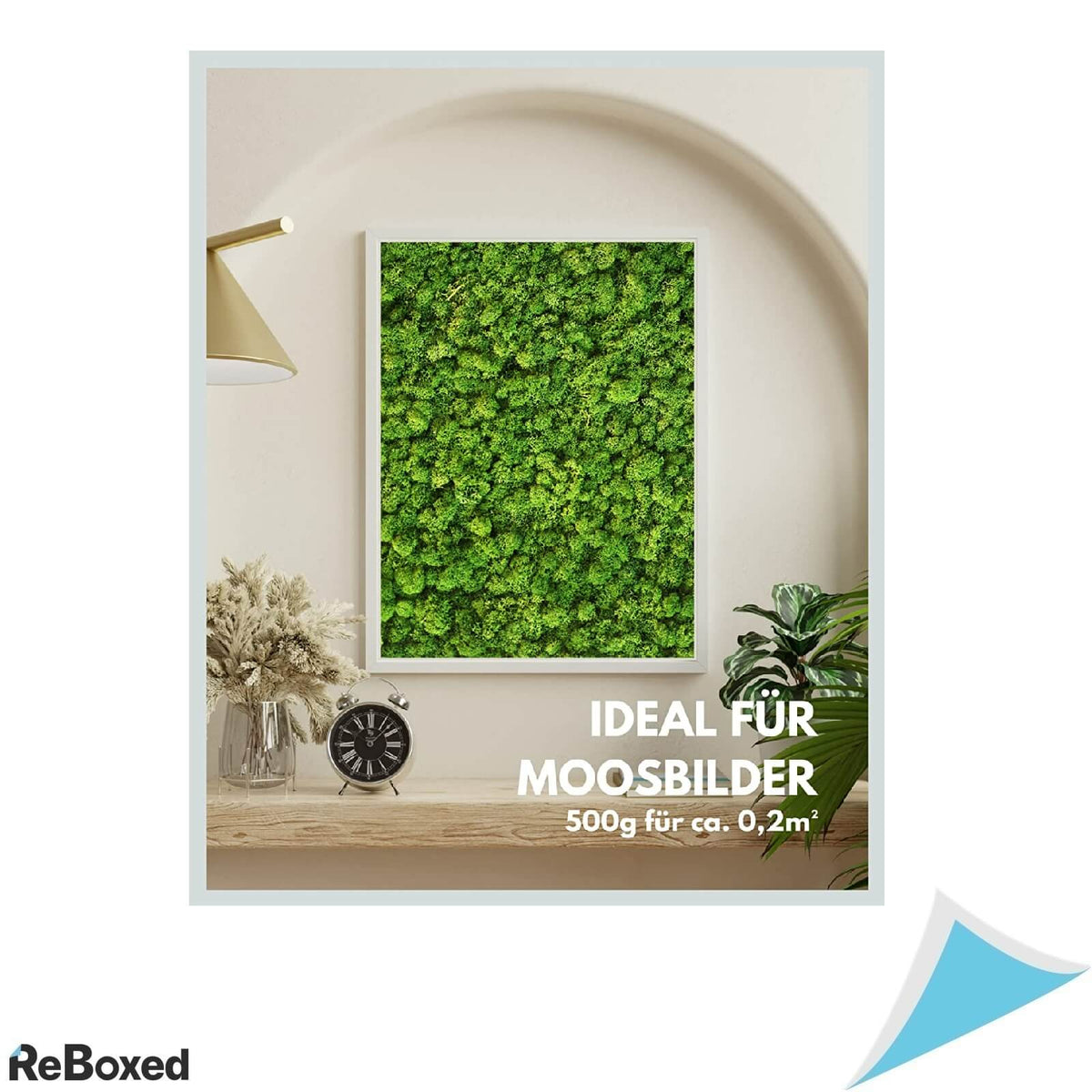 Mia Milano Licheni Muschi Moss Real 500g Decoratiuni Tablouri