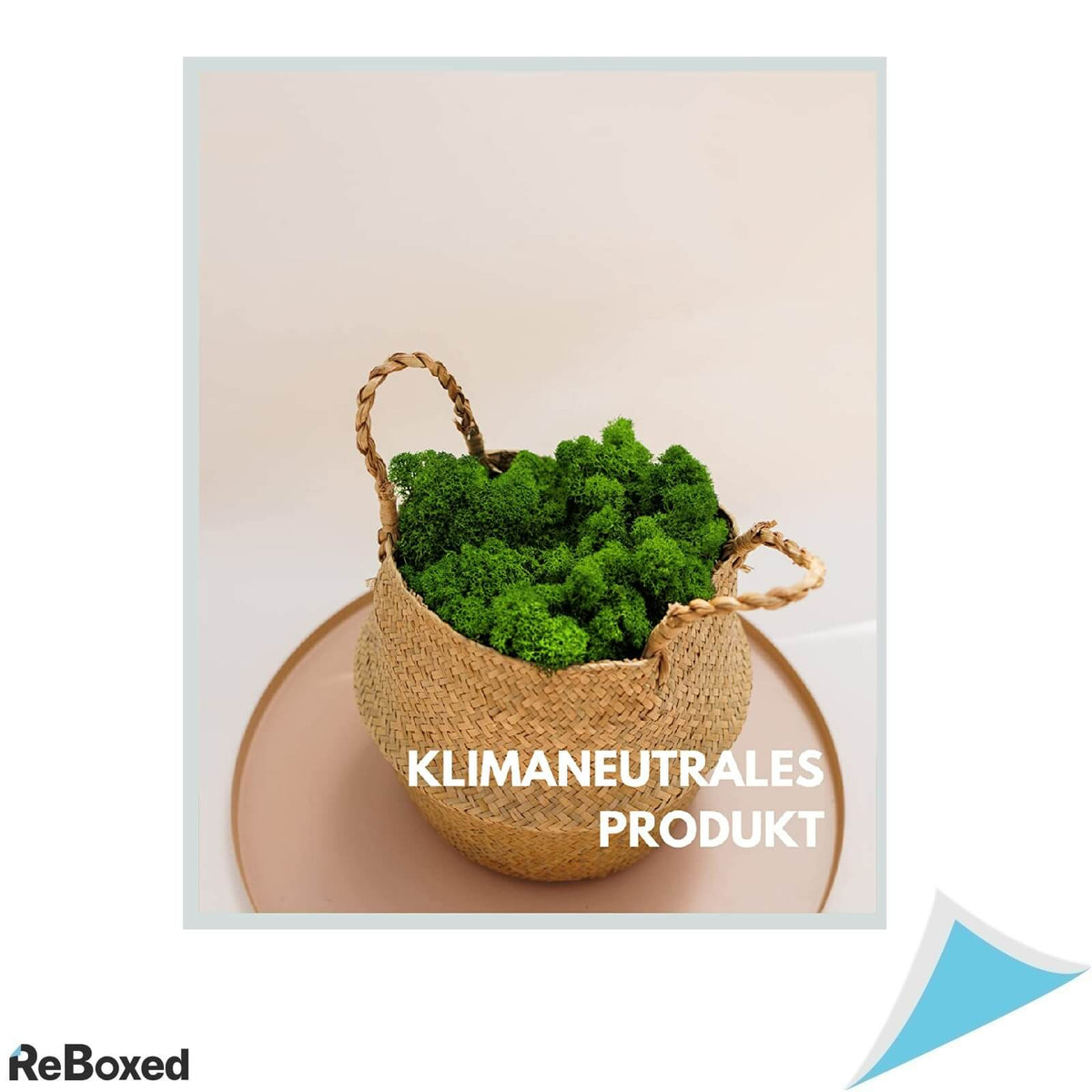 Mia Milano Licheni Muschi Moss Real 500g Decoratiuni Tablouri