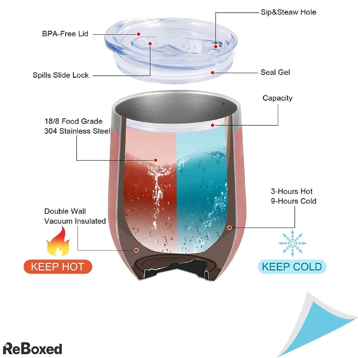 Livole Set 2 Cani 120ml Termoizolante Perete Otel Dublu Vacuum